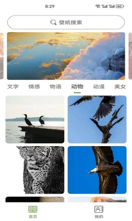 白叶壁纸软件免费版下载 v1.0.0 v6.3.2