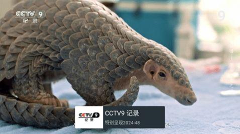 小脑斧电视软件免费下载 v1.6.0 v5.5.1