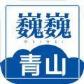 巍巍青山新闻资讯软件app下载 v1.2.2