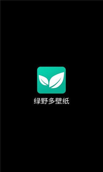 绿野多壁纸软件免费版下载 v1.0.1 v3.3.2