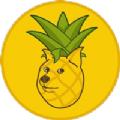 meme代币bob软件下载 v1.0