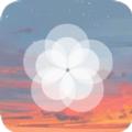 枫知手机主题壁纸软件官方下载 v1.0.3