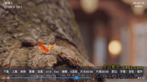 非凡圈子box追剧软件下载 v5.0.15 v4.3.4