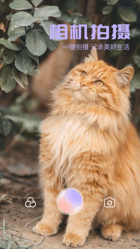 我的口型相机软件官方下载 v1.1 v4.5.4