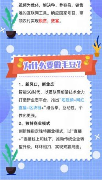 毛豆视频app官方版软件安装 v3.47.00 v6.3.2