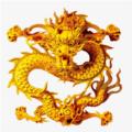 龙王4k盒子版app下载软件 v1.0