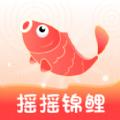 摇摇锦鲤软件下载安装 v1.0.0