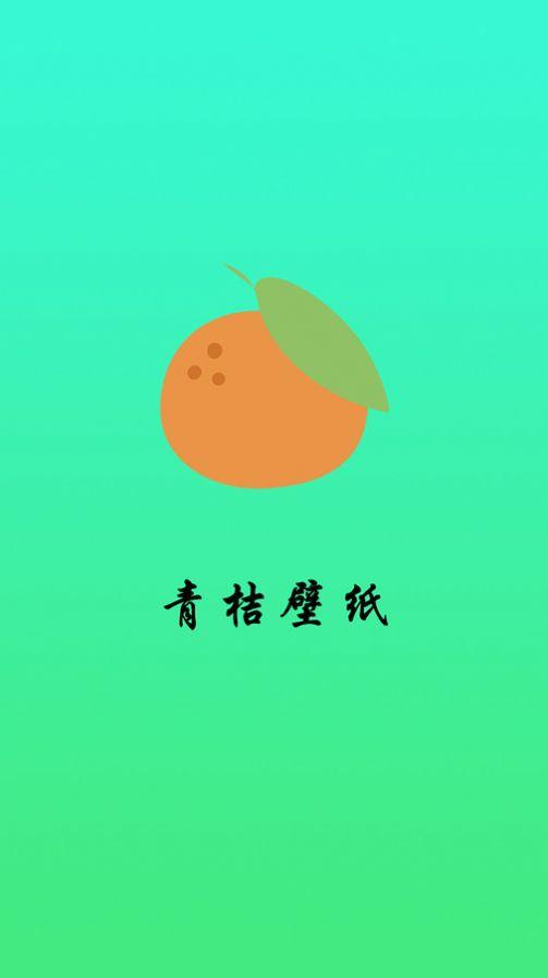 青桔壁纸软件官方下载 v1.0.0 v3.0.2