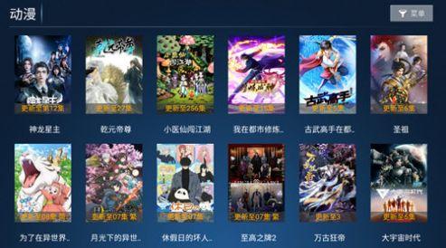小苹果至尊vip版V8.0授权免费版下载 v8.0 v6.3.4