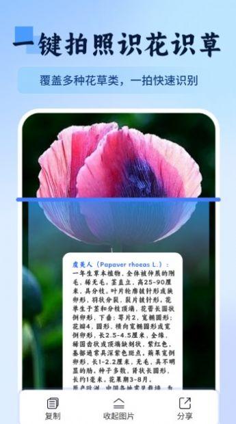 万物识图快拍易识别软件免费版下载 v1.1 v5.1.4
