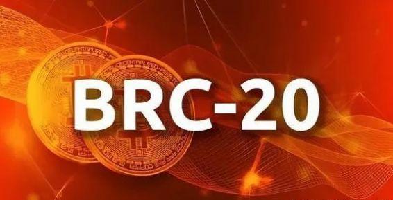 BRC20龙头币官方下载 v1.0 v6.3.2