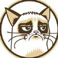 grumpy币最新版2024 v1.0.0