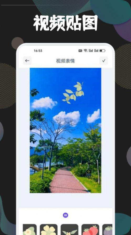 狮子影视投屏软件官方下载 v1.1 v3.3.3