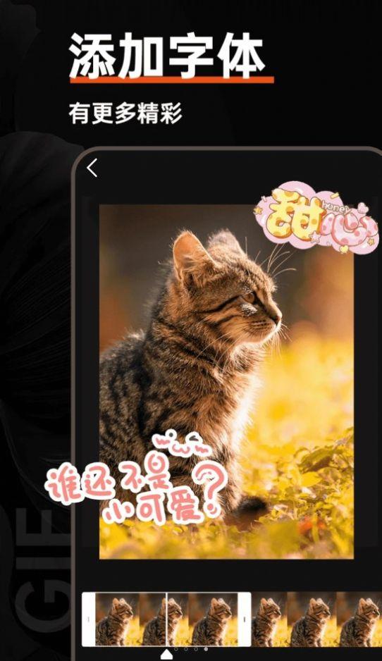 gif动图社区手机版应用下载 v1.0.1 v4.0.4
