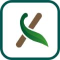 念想电视TV官方正版下载app v20231201