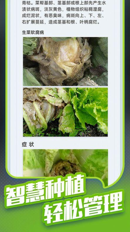 种菜专业户手机版下载 v1.0 v5.5.4