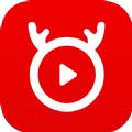 好鹿视频app官方手机版下载 v4.8.21