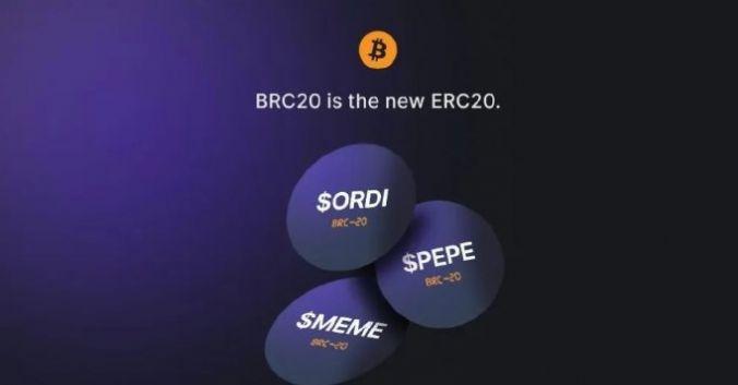 BRC20龙头币官方下载 v1.0 v6.3.2
