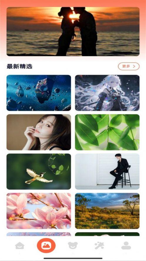 桌面壁纸主题大师软件手机版下载 v1.1 v5.2.4