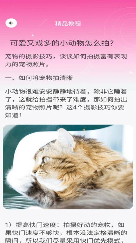 千颜秀相机软件下载 v1.0.0 v5.4.2