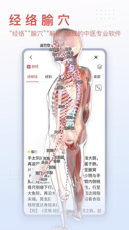 3dbody解剖图手机版 3dbody最新版本下载