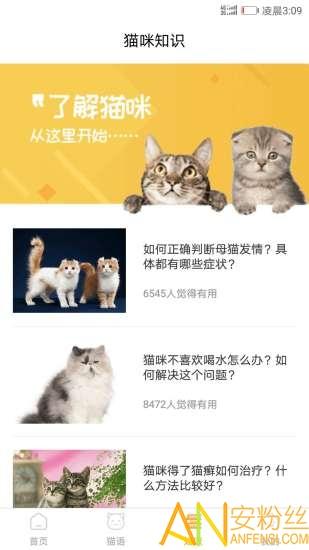 猫咪翻译器手机版下载