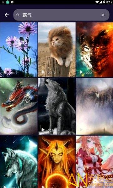 主题动态壁纸互动版 v6.5.2