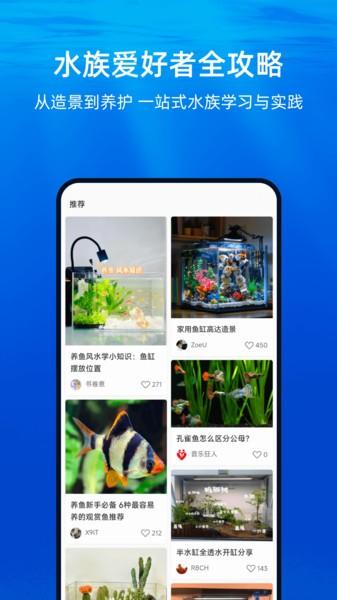 当贝鱼缸app免费下载最新版本