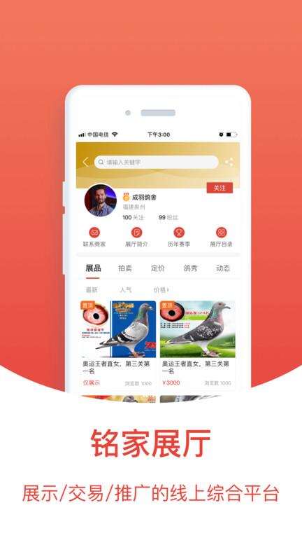 赛鸽头条app免费版 v6.1.1
