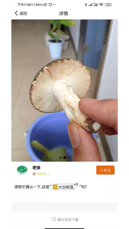 菌窝子app 菌窝子软件下载