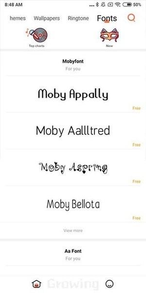 小米个性主题国际版 v4.1.2