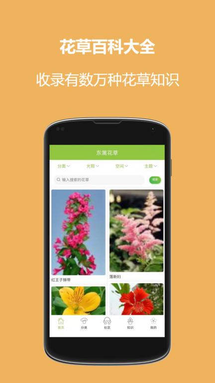 东篱花草app 东篱花草手机版下载