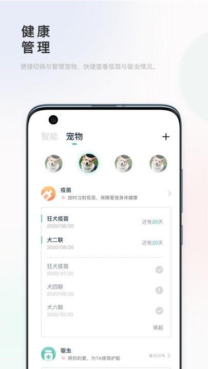 滴宠生活app 滴宠生活软件下载