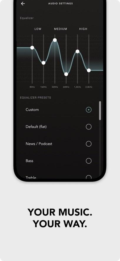 Devialet Gemini最新版