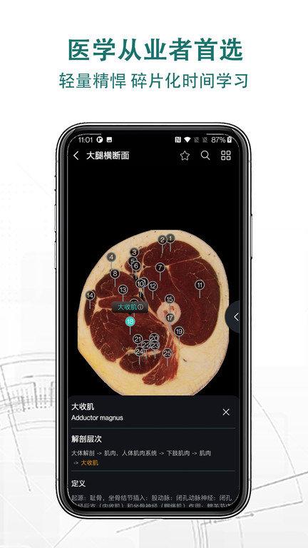 掌上3d解剖app 掌上3d解剖软件下载