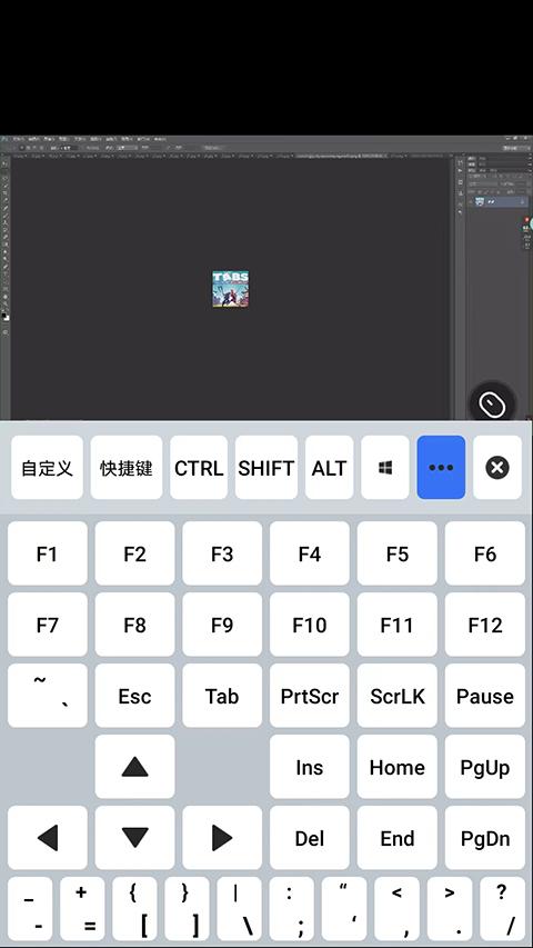 贝锐向日葵怎么用8