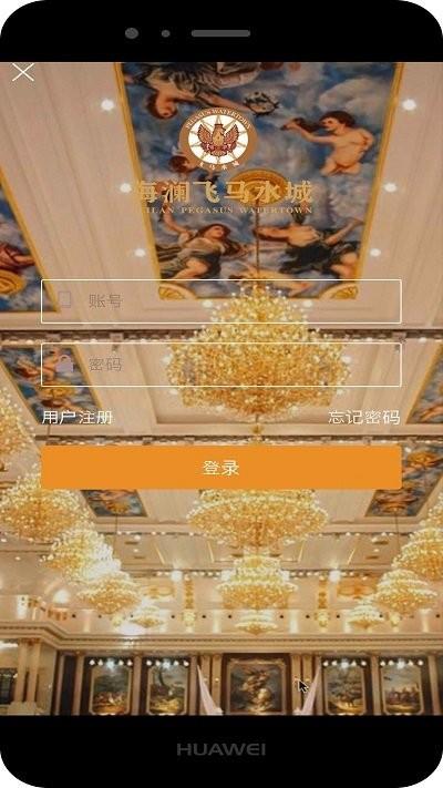 飞马水城app