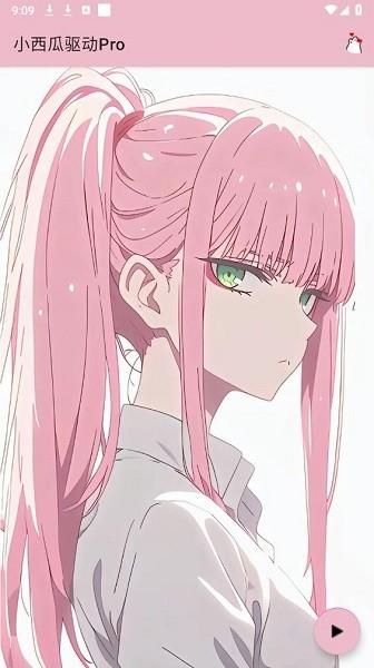 小西瓜驱动pro破解版 小西瓜驱动pro手机版下载