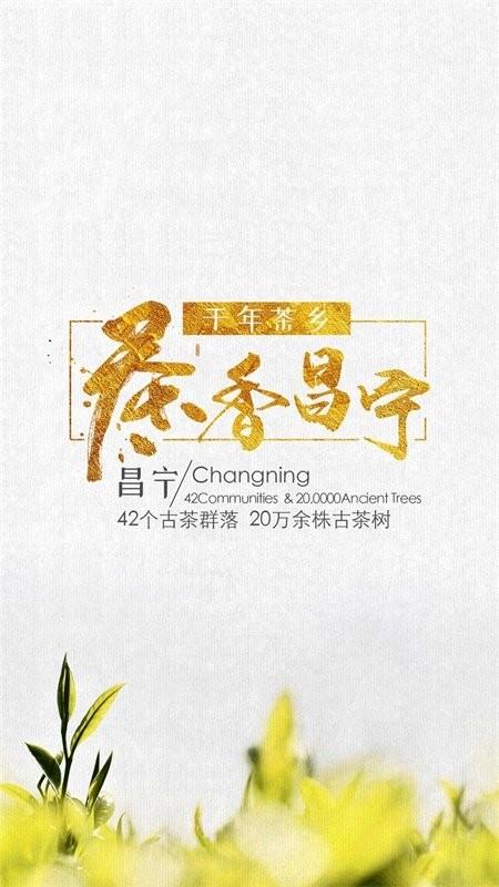 茶香昌宁客户端 v3.1.1