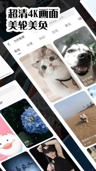 彩虹主题壁纸app v4.2.3