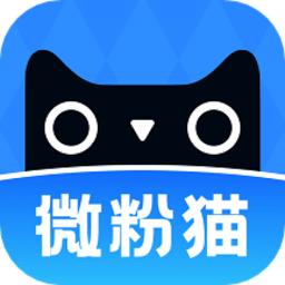 微粉猫