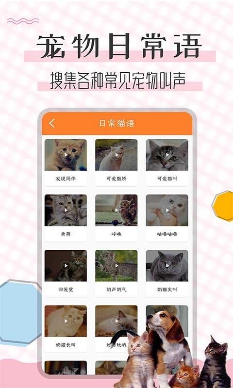 猫语翻译宝手机版下载
