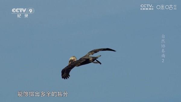 趣看仓box电视盒子 v4.5.3