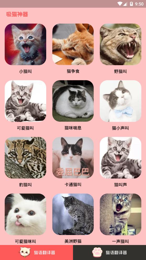 人猫交流器app手机官方版 人猫交流器app手机官方版