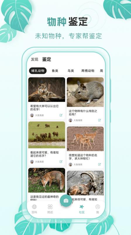 百科物语app