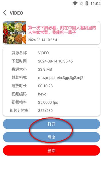 b站视频下载器(BVD) b站视频下载器(BVD)
