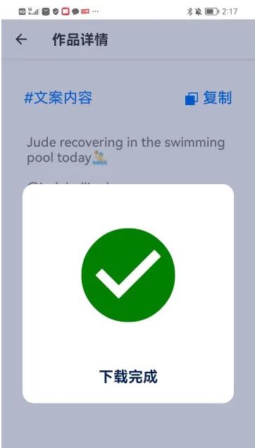 Inscarry素材下载编辑工具 Inscarry素材下载编辑工具