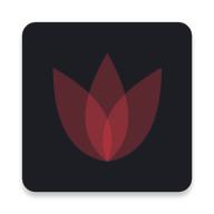 小红背单词最新版v1.3.3安卓版