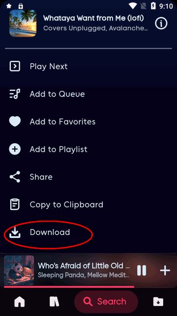 Bloomee音乐播放器app最新版