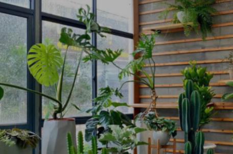 方太幸福家菜谱 方太幸福家菜谱